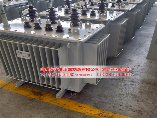 湘潭S13-1000KVA变压器
