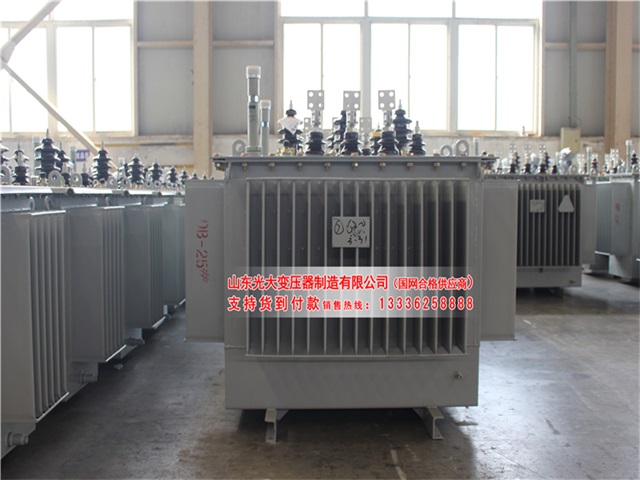 湘潭S22-4000KVA油浸式变压器